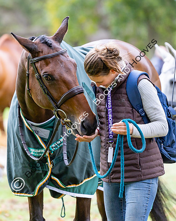 Agria Blenheim Palace International Horse Trials hosting the Agria FEI Eventing European Championship, Blenheim Palace, Woodstock, Oxfordshire, UK - 17 Sep 2025