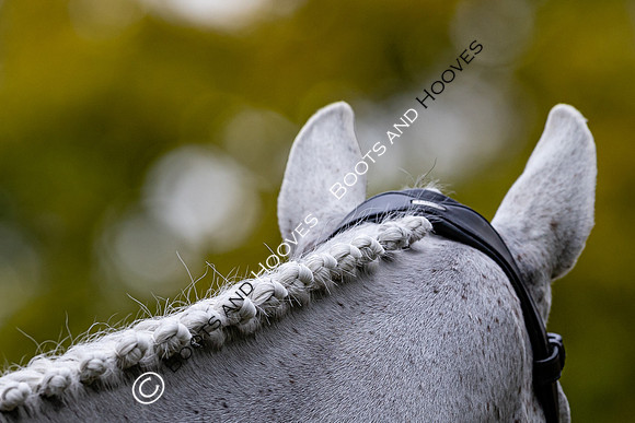 Agria Blenheim Palace International Horse Trials hosting the Agria FEI Eventing European Championship, Blenheim Palace, Woodstock, Oxfordshire, UK - 17 Sep 2025
