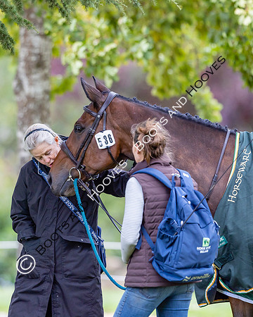 Agria Blenheim Palace International Horse Trials hosting the Agria FEI Eventing European Championship, Blenheim Palace, Woodstock, Oxfordshire, UK - 17 Sep 2025