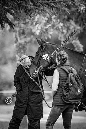 Agria Blenheim Palace International Horse Trials hosting the Agria FEI Eventing European Championship, Blenheim Palace, Woodstock, Oxfordshire, UK - 17 Sep 2025