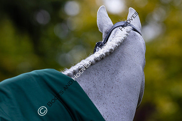 Agria Blenheim Palace International Horse Trials hosting the Agria FEI Eventing European Championship, Blenheim Palace, Woodstock, Oxfordshire, UK - 17 Sep 2025