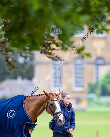 Agria Blenheim Palace International Horse Trials hosting the Agria FEI Eventing European Championship, Blenheim Palace, Woodstock, Oxfordshire, UK - 17 Sep 2025