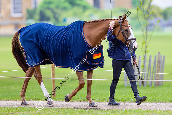 Agria Blenheim Palace International Horse Trials hosting the Agria FEI Eventing European Championship, Blenheim Palace, Woodstock, Oxfordshire, UK - 17 Sep 2025
