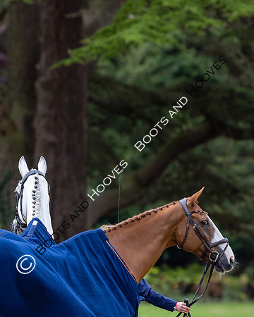Agria Blenheim Palace International Horse Trials hosting the Agria FEI Eventing European Championship, Blenheim Palace, Woodstock, Oxfordshire, UK - 17 Sep 2025