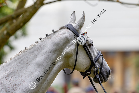 Agria Blenheim Palace International Horse Trials hosting the Agria FEI Eventing European Championship, Blenheim Palace, Woodstock, Oxfordshire, UK - 17 Sep 2025