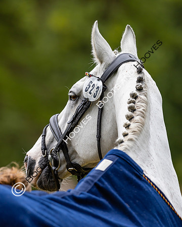 Agria Blenheim Palace International Horse Trials hosting the Agria FEI Eventing European Championship, Blenheim Palace, Woodstock, Oxfordshire, UK - 17 Sep 2025