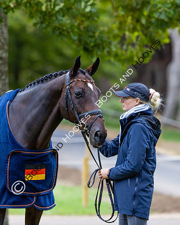 Agria Blenheim Palace International Horse Trials hosting the Agria FEI Eventing European Championship, Blenheim Palace, Woodstock, Oxfordshire, UK - 17 Sep 2025
