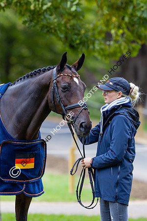 Agria Blenheim Palace International Horse Trials hosting the Agria FEI Eventing European Championship, Blenheim Palace, Woodstock, Oxfordshire, UK - 17 Sep 2025