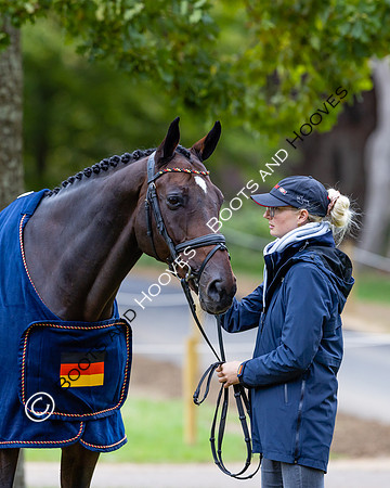 Agria Blenheim Palace International Horse Trials hosting the Agria FEI Eventing European Championship, Blenheim Palace, Woodstock, Oxfordshire, UK - 17 Sep 2025