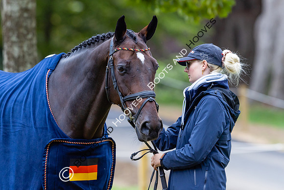 Agria Blenheim Palace International Horse Trials hosting the Agria FEI Eventing European Championship, Blenheim Palace, Woodstock, Oxfordshire, UK - 17 Sep 2025