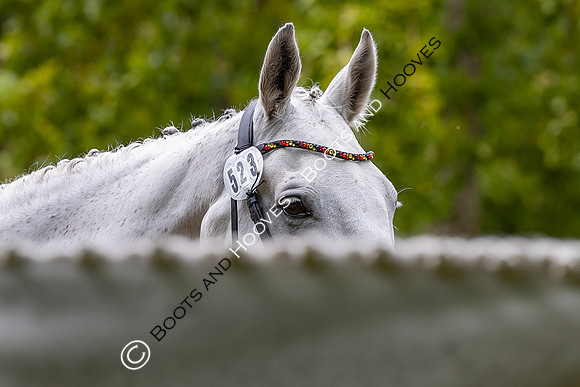 Agria Blenheim Palace International Horse Trials hosting the Agria FEI Eventing European Championship, Blenheim Palace, Woodstock, Oxfordshire, UK - 17 Sep 2025