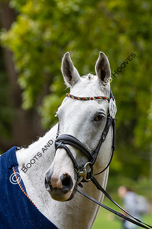 Agria Blenheim Palace International Horse Trials hosting the Agria FEI Eventing European Championship, Blenheim Palace, Woodstock, Oxfordshire, UK - 17 Sep 2025
