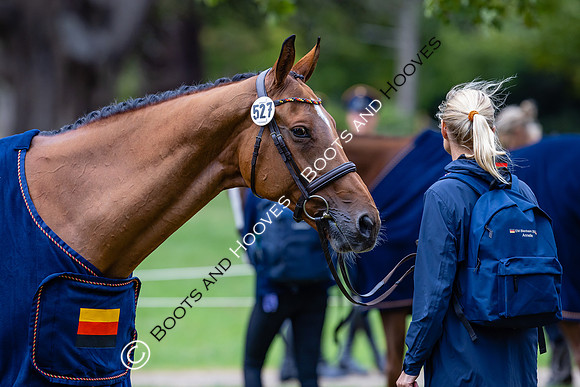 Agria Blenheim Palace International Horse Trials hosting the Agria FEI Eventing European Championship, Blenheim Palace, Woodstock, Oxfordshire, UK - 17 Sep 2025