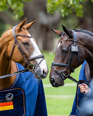 Agria Blenheim Palace International Horse Trials hosting the Agria FEI Eventing European Championship, Blenheim Palace, Woodstock, Oxfordshire, UK - 17 Sep 2025