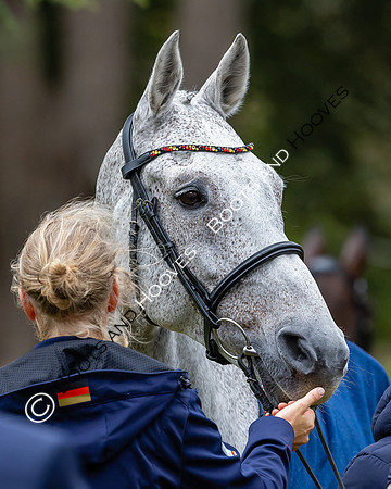 Agria Blenheim Palace International Horse Trials hosting the Agria FEI Eventing European Championship, Blenheim Palace, Woodstock, Oxfordshire, UK - 17 Sep 2025