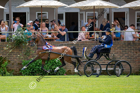 The Prenetics Royal International Horse Show