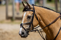 The Al Shira'aa Hickstead Derby Meeting