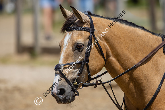 The Al Shira'aa Hickstead Derby Meeting