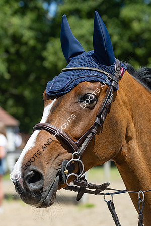 The Al Shira'aa Hickstead Derby Meeting