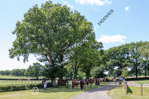 The Al Shira'aa Hickstead Derby Meeting