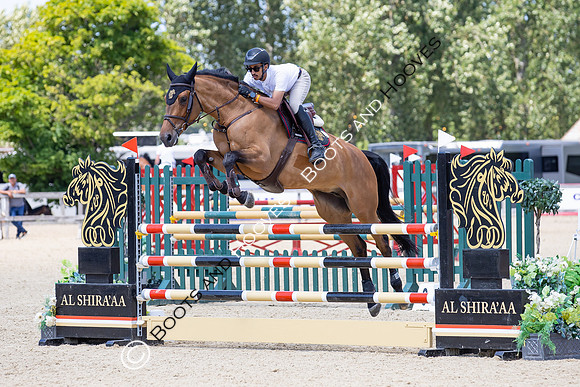 The Al Shira'aa Hickstead Derby Meeting