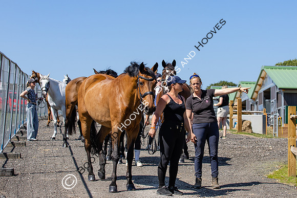 The Al Shira'aa Hickstead Derby Meeting
