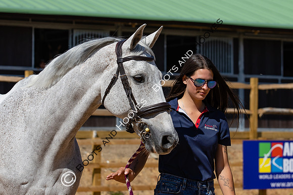 The Al Shira'aa Hickstead Derby Meeting