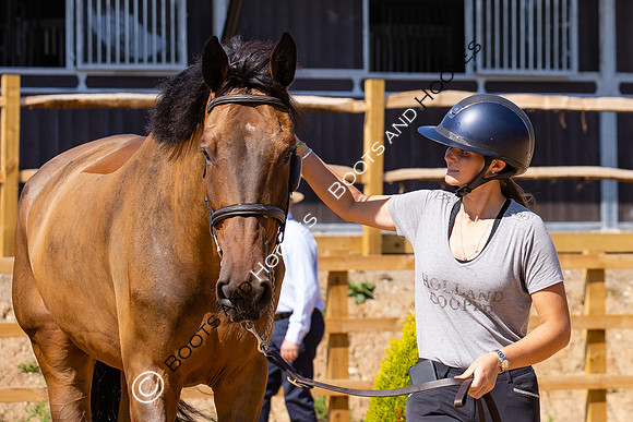 The Al Shira'aa Hickstead Derby Meeting