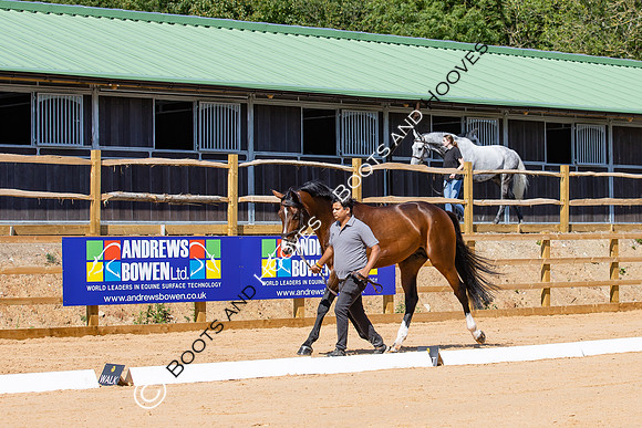The Al Shira'aa Hickstead Derby Meeting