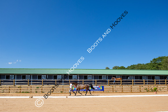 The Al Shira'aa Hickstead Derby Meeting