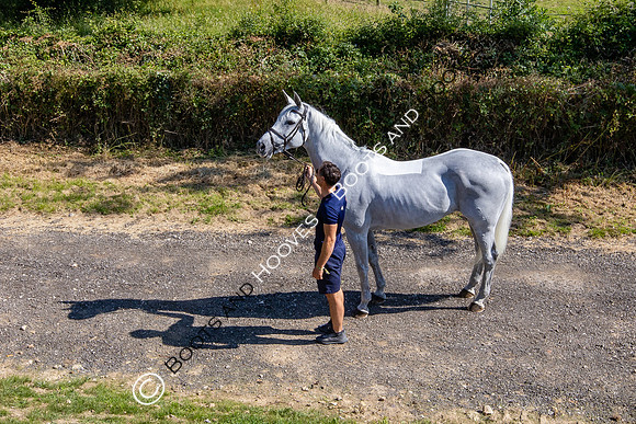The Al Shira'aa Hickstead Derby Meeting