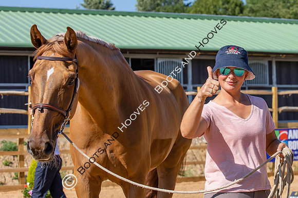 The Al Shira'aa Hickstead Derby Meeting