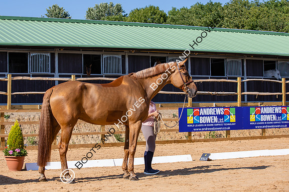 The Al Shira'aa Hickstead Derby Meeting