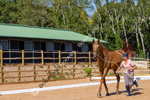 The Al Shira'aa Hickstead Derby Meeting
