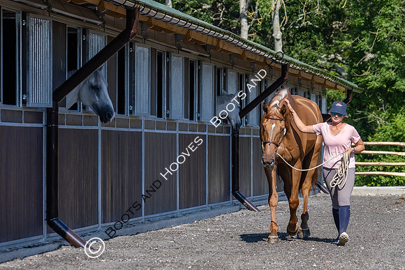 The Al Shira'aa Hickstead Derby Meeting