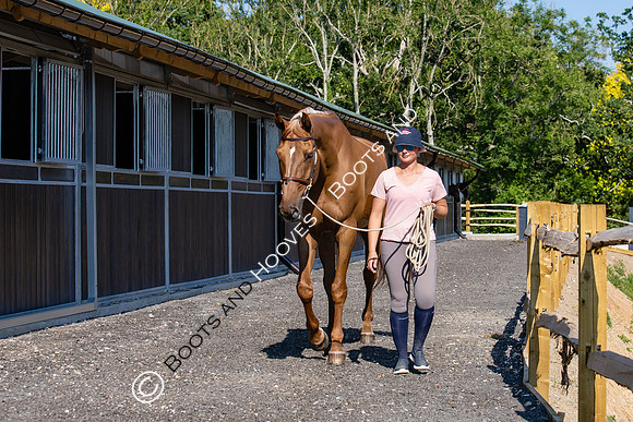 The Al Shira'aa Hickstead Derby Meeting