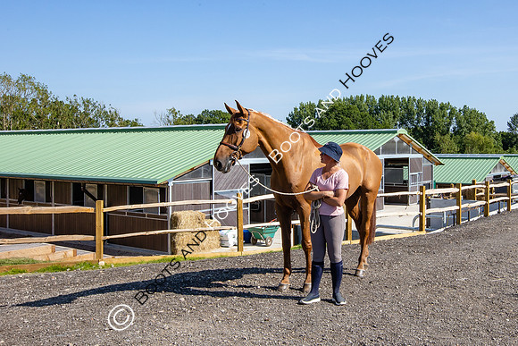 The Al Shira'aa Hickstead Derby Meeting