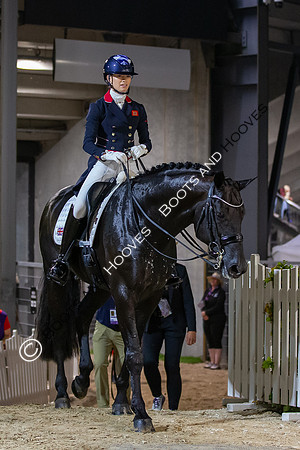 The FEI World Championships Herning 2022
