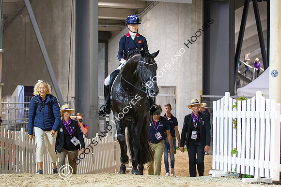 The FEI World Championships Herning 2022