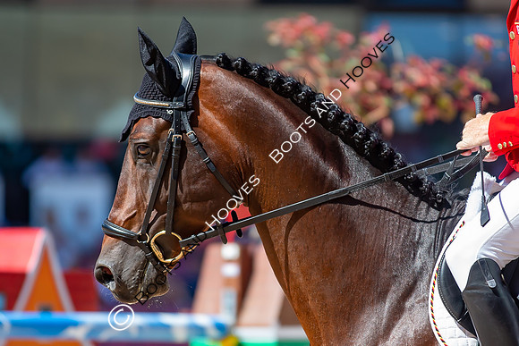 The FEI World Championships Herning 2022