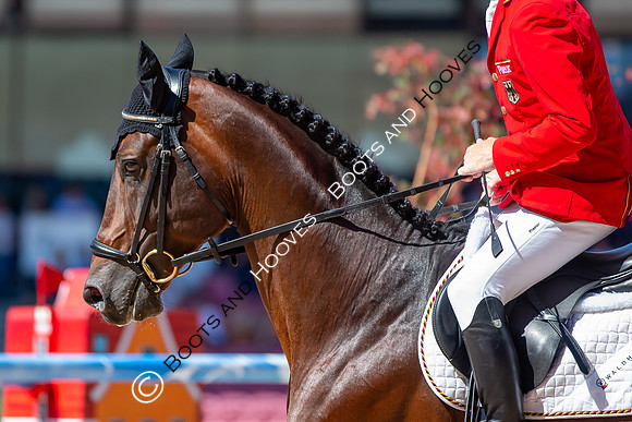 The FEI World Championships Herning 2022