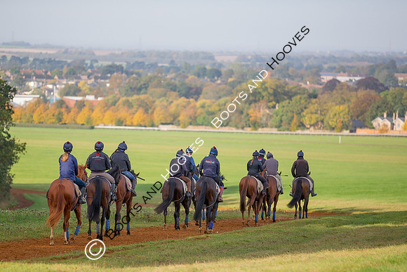 Newmarket