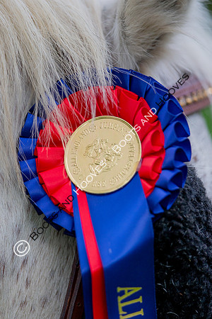 Science Supplements All England Jumping Championships