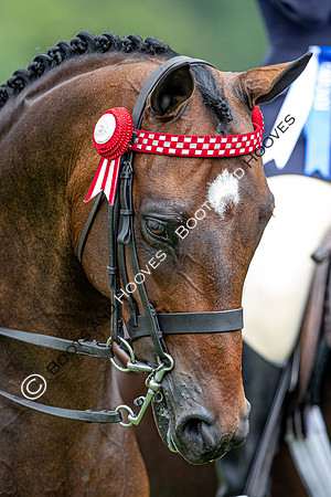 The Prenetics Royal International Horse Show
