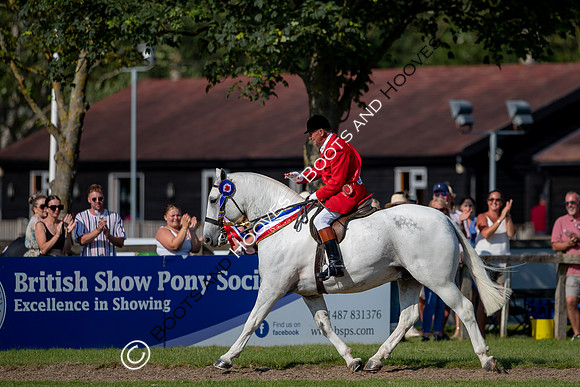 The Prenetics Royal International Horse Show