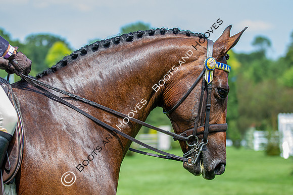 The Prenetics Royal International Horse Show
