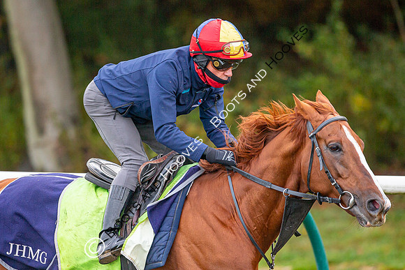 Newmarket