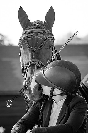 The Al Shira'aa British Young Horse Championships