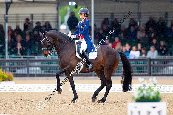 Royal Windsor Horse Show