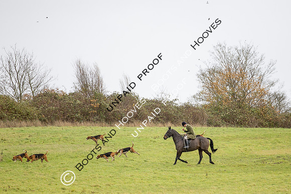 Ladies Day